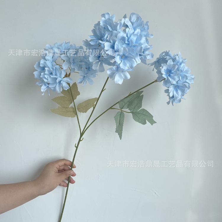 微信图片_202207211439007_副本