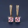 Desejo Transfronteiriço Mais Vendido Ouro Champagne Quadrado Geométrico Vermelho Garnet Brinco de Orelha Nicho Simples Luxo Leve Brincos Elegantes