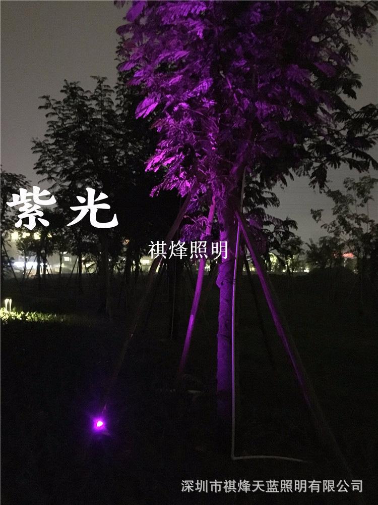 2017-03-10 214131.jpg