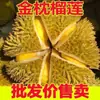 Durian Auténtico Dorado Pillow Madurado en Árbol Tailandés con Cáscara, Fresco, Dulce, Suave y Pegajoso, Fruta de Durian Entera, Enviado en una Caja Entera