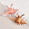 2025 Transfronterizo Nuevo Pasador de Concha Impreso con UV Pasador de Pelo de Verano Accesorios para el Cabello del Océano Pasador de Nicho en la Parte Posterior de la Cabeza