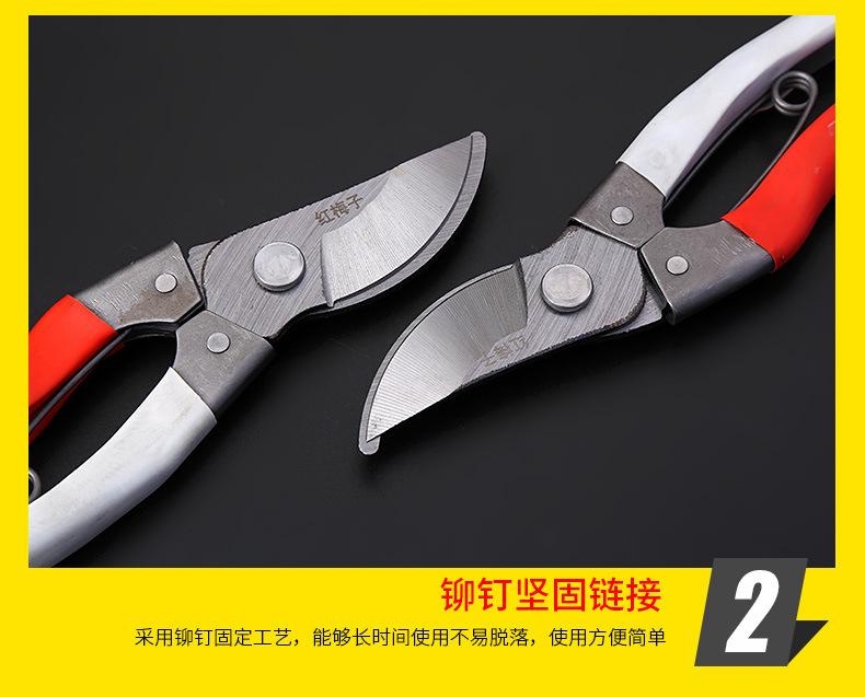详情-10.jpg