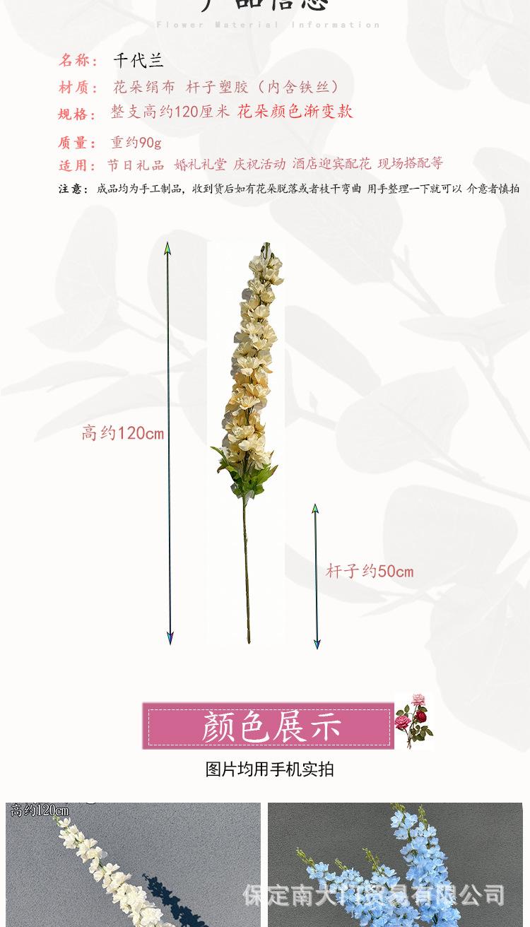 千代兰详情模板_02.jpg