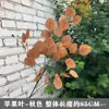 Hojas de Manzana Simuladas, Ramas Altas, Hojas de Dinero de Pie, Hojas de Eucalipto, Plantas Verdes Bosque para Bodas Escandinavas, Flores Simuladas