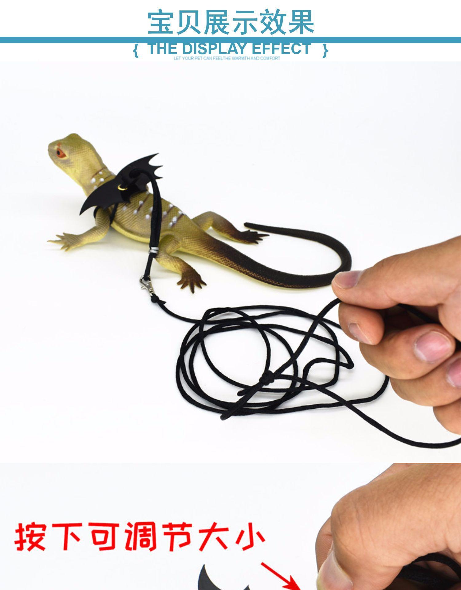 O1CN01mIj8hP1SqWiMMZCZp_!!2160