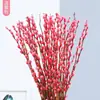 Flores Secas de Sauce Plateado Atractoras de Fortuna, Flores Reales, Ramas Frescas, Plantas Hidropónicas, Sauce Plateado Rojo, Flores de Año Nuevo, Cubo de Fortuna, Decoración Interior para Sala de Estar