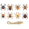 Etiquetas e Enfeites de Decoração para Festa de Halloween da Amazon, Decorações Assustadoras para o Feriado, Enfeites de Aranha