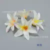 Caixa de Presente Flor Branca Pequena Decoração Adereço de Cabeça Étnico Grampo de Cabelo Flor Produção DIY Decoração Feita à Mão Chapéu de Formatura
