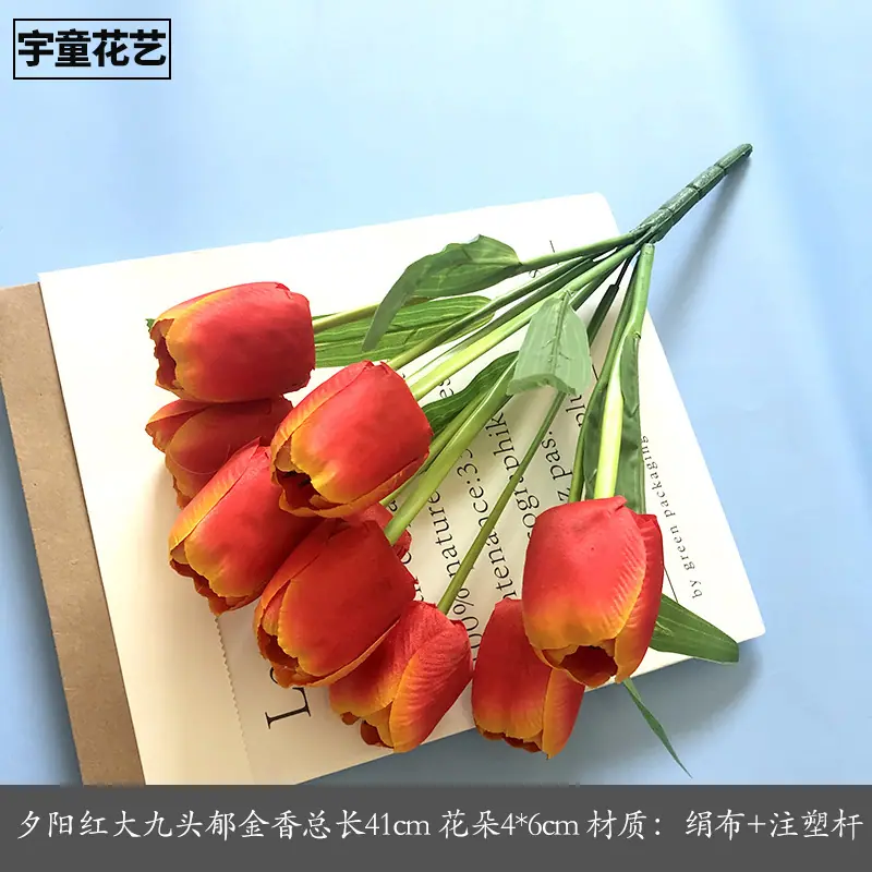 夕阳红