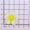 Acessórios de Resina Flor Plumeria Transparente Colorida Cinco Pétalas Cola Creme DIY Buraco Sapato Chaveiro Ímã de Geladeira Chave