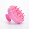 Frasco para Tintura de Cabelo Shampoo Pente Conjunto Combinado Transfronteiriço Frasco de Shampoo Escova de Massagem para Shampoo Conjunto de Duas Peças com Escala Frasco de Poção