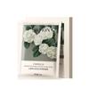 Shuiyun Dream Camellia Limpador Facial de Aminoácidos Controle de Oleosidade Hidratante Redutor de Poros Limpeza Profunda Mousse de Limpeza Hidratante