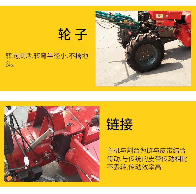玉米_09