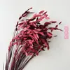 Planta Xiao Pan Flor Eterna Fábrica de Flores Secas de Yunnan Atacado Novos Clientes Desfrutam de Bons Presentes Presente de Natal Adereços para Fotos