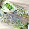 Cinta con Estampado Dorado, Letras de Hoja de Arce con Temática de Garrote Estilo Antiguo, Material Fluido con Temática de Chica, Paquete de Pegatinas para Estudiantes