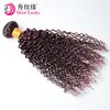 Fábrica de Perucas Xuchang Cor 99j# Pacotes de Cabelo Humano Liso Malaio