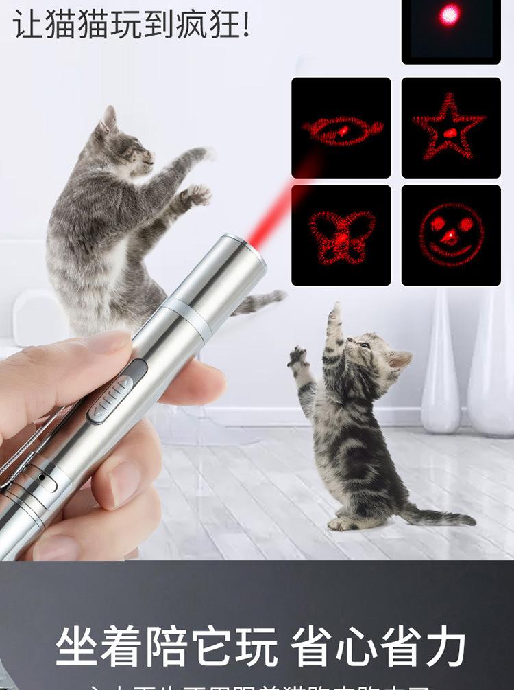 激光逗猫