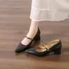 Sapatos Mary Jane de Bico Fino com Salto Grosso para Mulheres 2026 Nova Coleção Primavera e Outono Versátil Emagrecedor Elegante Salto Alto Tiras Baixas Sapatos de Salto Único