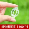 Clip Fijador de Plantas de Árboles Frutales Blancos Clip Clip Soporte para Enredaderas Plántula Soporte para Trepar Varilla Clip Colgante para Plántulas de Frutas y Verduras