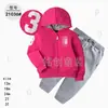 Comercio Exterior Ropa Infantil Primavera y Otoño Conjunto Infantil de Dos Piezas Material Sudadera Sudadera con Capucha Ropa Infantil para Bebés Ropa de Salida [Al por Mayor]