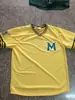 Cardigã de secagem rápida gola U uniforme de beisebol 5 botões malha perfurada faixa de escalada amostra de fábrica uniforme de beisebol personalizado