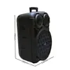 Altavoz Micrófono Colorido Móvil 12 pulgadas Bt-1206 Portátil para Exteriores Alto Volumen Altavoz Bluetooth Inalámbrico