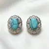 Collar Estilo Xiaohongshu de Circonita Azul Exquisita Circonita Cadena de Clavícula de Lujo Ligero y Aretes con Diseño Elegante, Cadena de Clavícula y Aretes de Gama Alta de Nicho