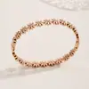 Lele Jewelry Atacado Transfronteiriço Pulseiras de Aço Inoxidável de Alta Qualidade Galvanizadas, Joias Femininas de Nicho de Luxo Leve, Mais Vendidas na Europa e América