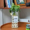 Vaso de Vidro de Palha Natural Transfronteiriço Tecido à Mão Conjunto de Vidro para Escritório Hotel Copo para Água Fria Copo para Bebida