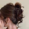 Pinza de Garra de Acrílico Minimalista Estilo Coreano Pinza Tiburón para Principios de Otoño Pasador para Mujeres Nuevo Modelo 2026 Accesorio para el Cabello de Gama Alta