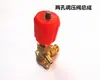 Gato Negro Panda Mao Guan Zhou Shen Long Hidrolavadora Lavacoches Válvula Reguladora de Presión Accesorios Conector de Salida de Agua Válvula Automática de Presión