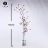 Serie Roja: Lirio de Fuego, Cymbidium, Phalaenopsis, Orquídea Danzante, Clivia, Hortensia, Phalaenopsis 'Wandai', Fruta Roja