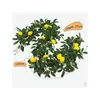 Decoração de Parede Vinha de Limão Plantas Verdes Densas Trepadeiras de Parede Arranjo de Atmosfera Flores Artificiais Loja de Frutas Enfeites Pendurados