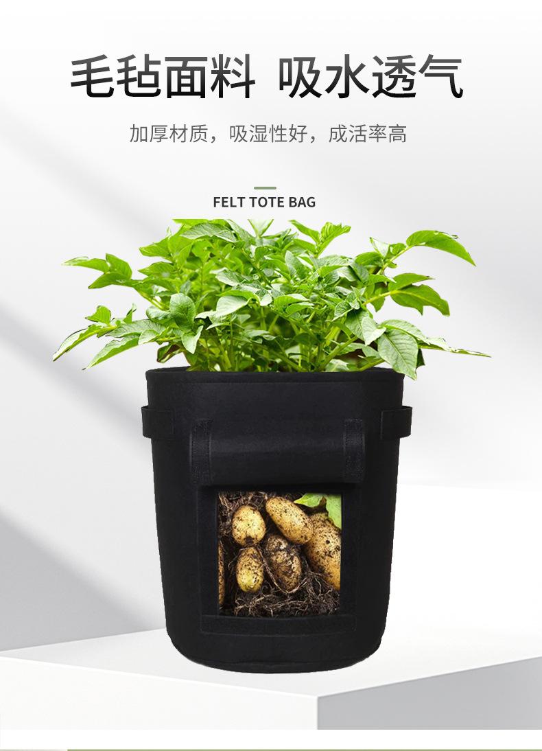 种植桶详情_05.jpg