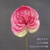Arranjo de Flores Artificiais Rosa Vermelho para Casamento Balde de Abraço Material Material de Flor Fileira de Flores de Cabeceira Material de Flor Casamento Flor Artificial de Seda Janela