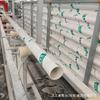 Tubería de PVC Tubería de Drenaje Tubería de Alcantarillado de PVC Tubería Redonda Blanca Engrosada Longitud Personalizada Tubería Lisa 200 Tubería de PVC