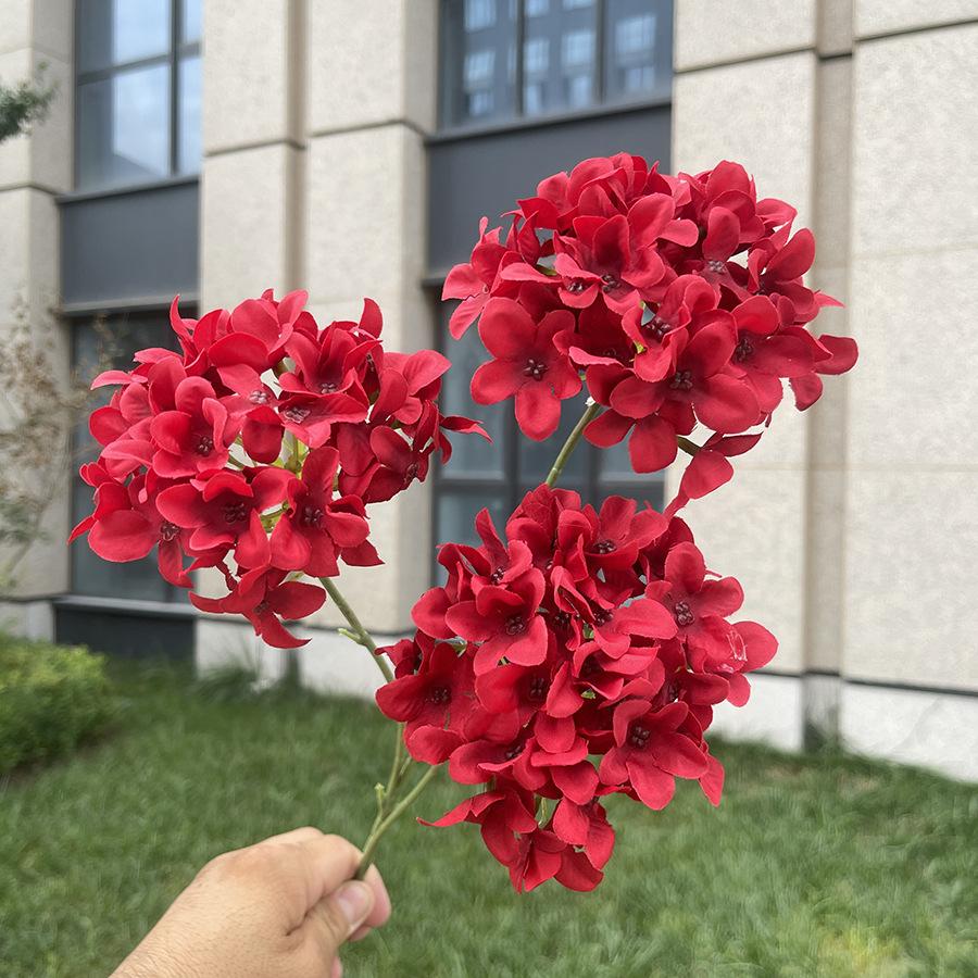 3头5瓣啸天绣球-sxxtx-红色.JPG