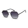 2026 Nuevas Gafas de Sol Polarizadas de Metal Versátiles para Adulto, Gafas de Sol Degradadas con Protección Solar, Gafas Parasol para Exterior 2238