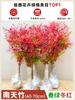 Dropshipping Flame Nandina Plantones en Maceta Sala de Estar Plantas Verdes Patio Exterior Plantas de Suelo Plántulas Grandes de Bambú