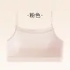 Nuevo Sujetador de Espalda Bonita de Seda de Hielo con Tirantes Finos, Copas Fijas, Tubo Strapless, Transpirable Anti-Exposición con Espalda en U Bonita para Mujer