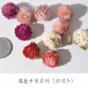 Material de Fruta Seca Natural Marco de Fotos con Espécimen de Hoja Paquete de Material de Combinación de Flores Secas Hecho a Mano DIY Decoración Navideña Fruta