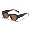 Las Nuevas Gafas de Sol Retro de Marco Estrecho de Alta Calidad de Rain Son Imprescindibles para la Moda Urbana Hip-Hop de Hombres y Mujeres