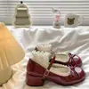 Populares zapatos retro franceses de tacón grueso para mujer, nuevos de otoño 2026, versátiles, con lazo y cordones, Mary Janes, zapatos pequeños de cuero para mujer