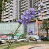 Comercio exterior flor artificial púrpura al por mayor delfinio púrpura Jacinto violeta azul bígaro decoración de boda flor falsa