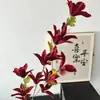 Flor Artificial Rama Larga Orquídea Fengyu Boda Flor de Seda Flor Falsa Flor Orquídea Salón de Bodas Fila de Flores Arte Floral Material de Flor Artificial Orquídea Fengyu