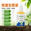 Solução Poderosa para Enraizamento Planta Geral Estacas Transplante de Árvores Solução Nutritiva Plantas Floríferas Plantas Verdes Solução de Enraizamento Rápido Agente Fortalecedor de Mudas