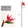 Precio de Fábrica para Flor de Ave del Paraíso Artificial Realista, Tallo Único, Accesorios de Flores Artificiales y Plantas Verdes, Flor Falsa Decorativa, Dropshipping Disponible