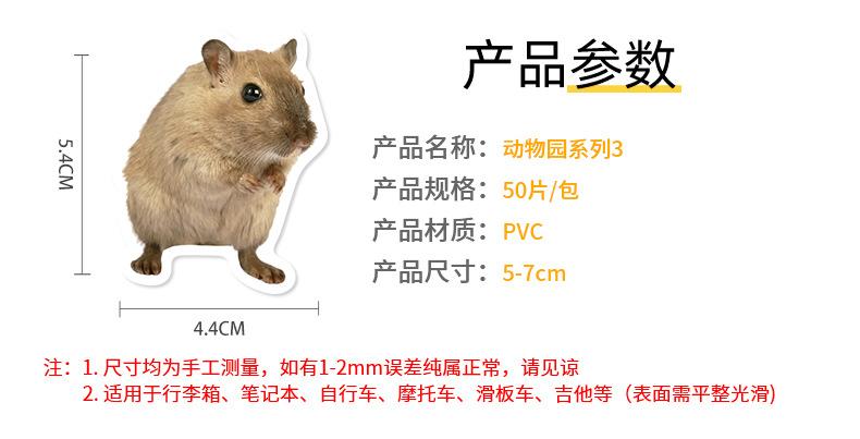详情页_02.jpg