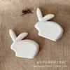 Bola de espuma Polietileno Coelho plano desenho animado Coelho DIY Coelho de Páscoa Coelho de papel Venda direta da fábrica