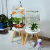 Tanque de Peces de Barril de Agua Mineral Transparente HD Pecera Soporte Modificado Creativo Acuario Drenaje de un Botón Piscicultura para Personas Perezosas